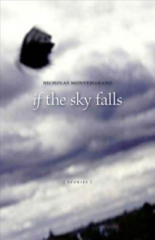 Carte If the Sky Falls Nicholas Montemarano