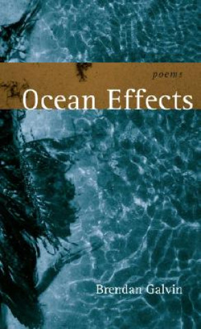 Buch Ocean Effects: Poems Brendan Galvin