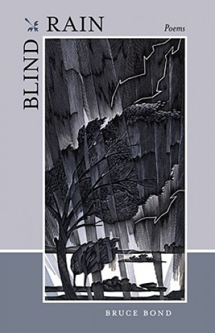 Knjiga Blind Rain Bruce Bond