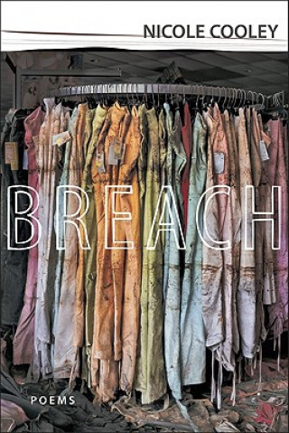 Knjiga Breach Nicole Cooley