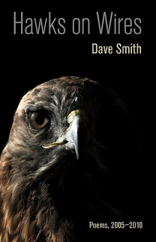 Könyv Hawks on Wires: Poems, 2005-2010 Dave Smith
