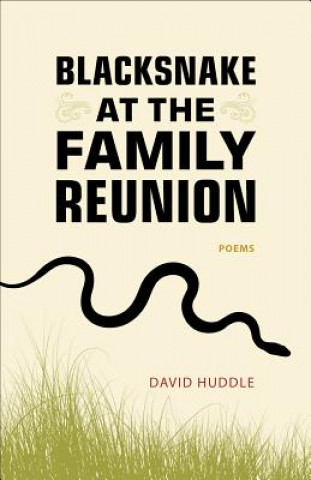 Kniha Blacksnake at the Family Reunion David Huddle