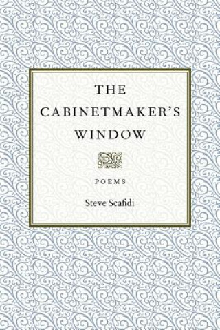 Libro Cabinetmaker's Window Steve Scafidi