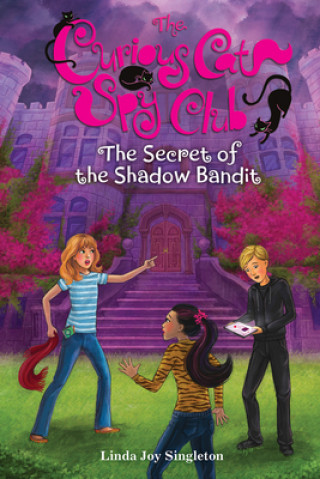 Könyv Secret of the Shadow Bandit Linda Joy Singleton