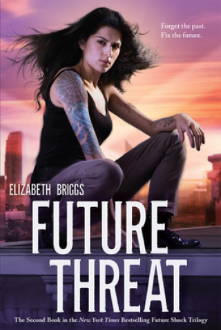 Kniha Future Threat Elizabeth Briggs
