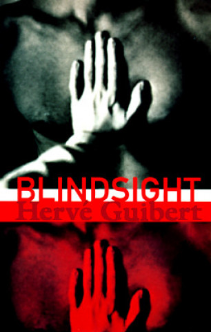 Kniha Blindsight Herve Guibert