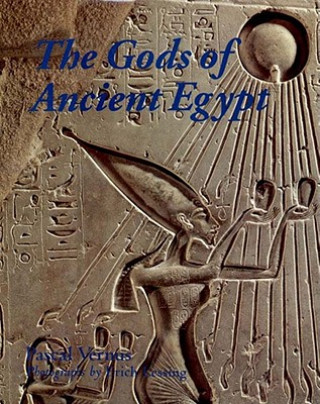 Carte The Gods of Ancient Egypt Pascal Vernus