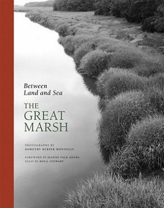 Książka Between Land and Sea: The Great Marsh Doug Stewart