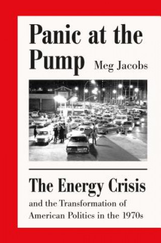 Kniha Panic at the Pump: The Energy Crisis and the Transformation of American Politics in the 1970s Meg Jacobs
