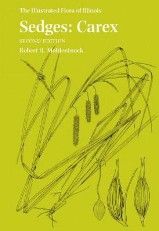 Knjiga Sedges Robert H. Mohlenbrock