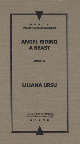 Buch Angel Riding a Beast Liliana Ursu
