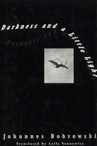 Kniha Darkness and a Little Light Johannes Bobrowski