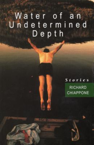 Carte Water of an Undetermined Depth Richard Chiappone