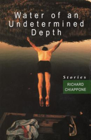 Книга Water of an Undetermined Depth Richard Chiappone