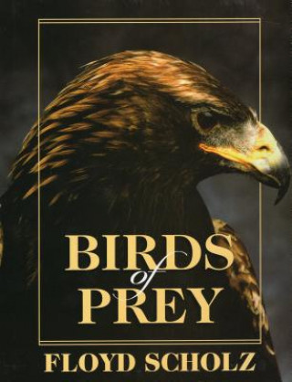 Kniha Birds of Prey Floyd Scholz