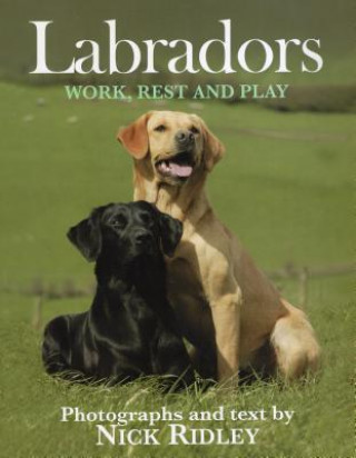 Książka Labradors: Work, Rest and Play Nick Ridley