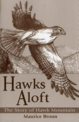 Book Hawks Aloft Maurice Broun