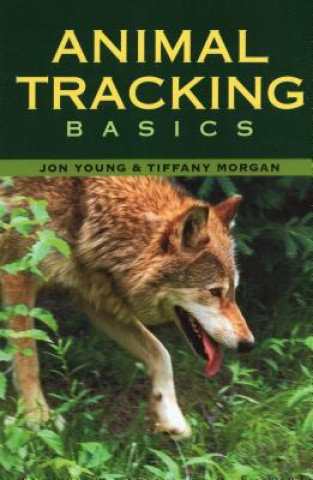 Книга Animal Tracking Basics Jon Young