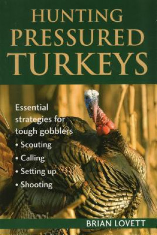 Książka Hunting Pressured Turkeys Brian Lovett