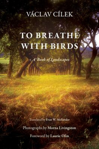 Kniha To Breathe with Birds Vaclav Cilek