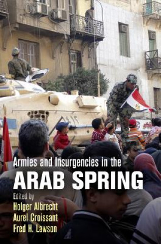 Kniha Armies and Insurgencies in the Arab Spring Holger Albrecht