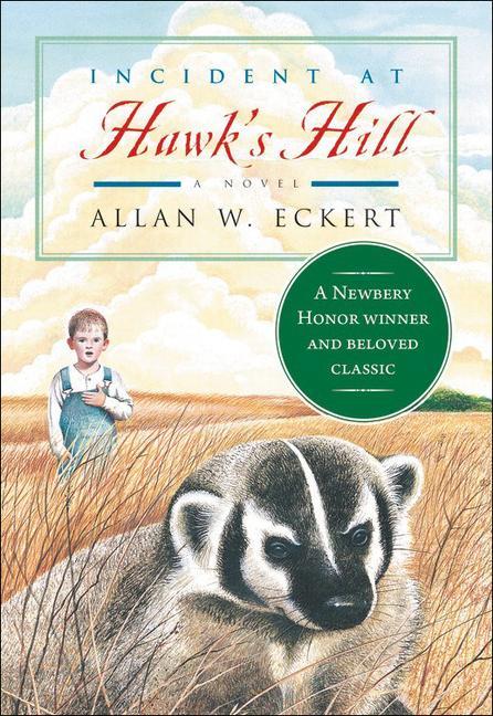Könyv Incident at Hawk's Hill Allan W. Eckert