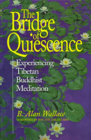 Kniha Bridge of Quiescence B. Alan Wallace