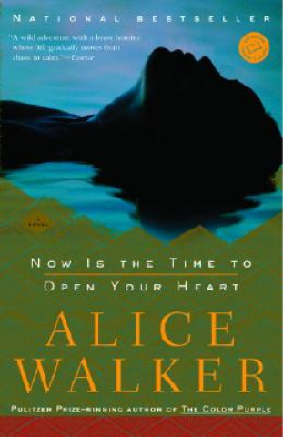 Kniha Now Is the Time to Open Your Heart Alice Walker