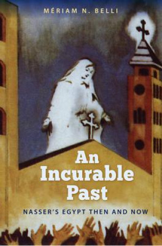 Buch Incurable Past Meriam N. Belli