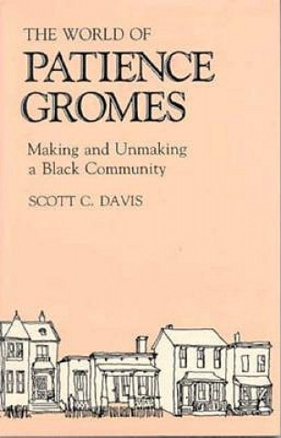 Kniha World of Patience Gromes Scott C. Davis