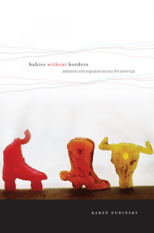 Könyv Babies without Borders Karen Dubinsky