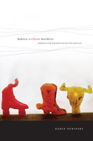 Kniha Babies without Borders Karen Dubinsky