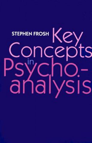 Книга Key Concepts in Psychoanalysis Stephen Frosh