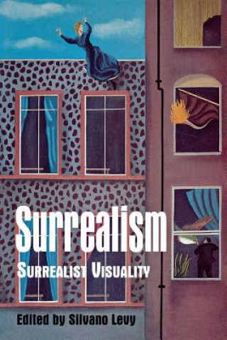 Kniha Surrealism: Surrealist Visuality Silvano Levy