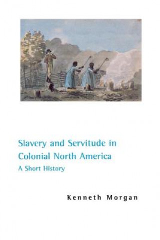 Könyv Slavery and Servitude in Colonial North America: A Short History Wendy Chavkin