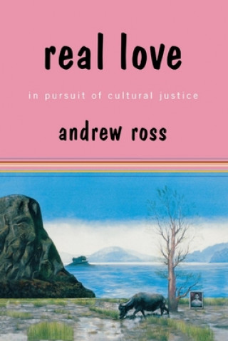 Buch Real Love: In Pursuit of Cultural Justice Andrew Ross