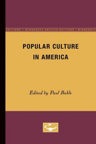 Książka Popular Culture in America Paul Buhle