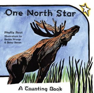 Kniha One North Star Phyllis Root