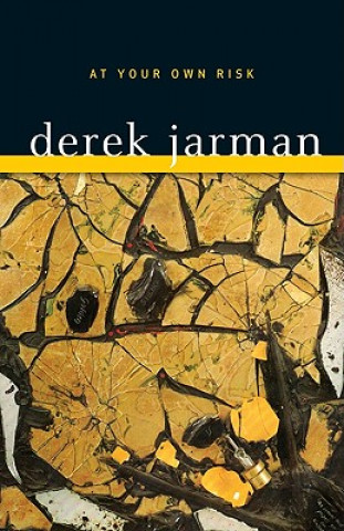 Buch At Your Own Risk: A Saint's Testament Derek Jarman