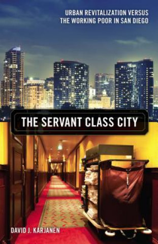 Kniha Servant Class City David J. Karjanen