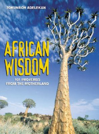 Kniha African Wisdom: 101 Proverbs from the Motherland Tokunboh Adelekan