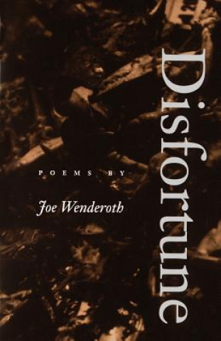 Book Disfortune Joe Wenderoth