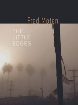 Boek Little Edges Fred Moten