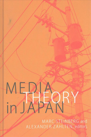 Kniha Media Theory in Japan Marc Steinberg