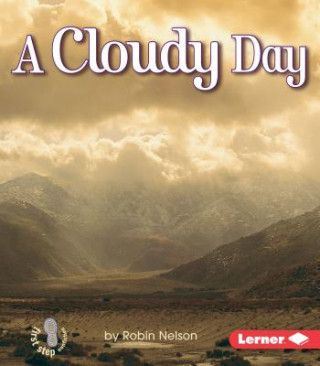 Knjiga A Cloudy Day Robin Nelson