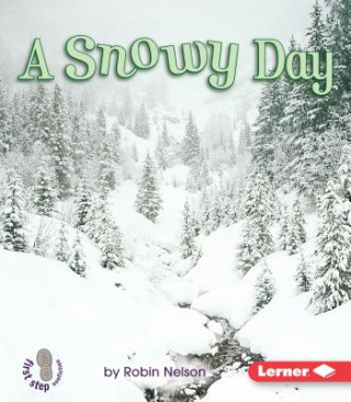 Kniha A Snowy Day Robin Nelson