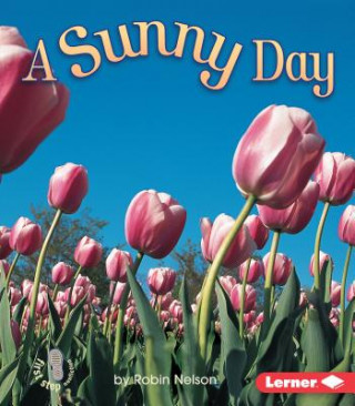 Livre A Sunny Day Robin Nelson