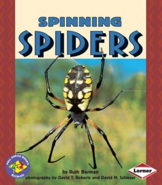 Kniha Spinning Spiders Ruth Berman