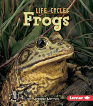 Książka Frogs Melanie Mitchell