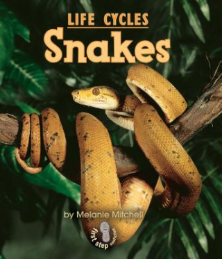 Book Snakes Melanie Mitchell